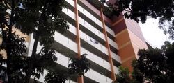 Blk 123 Hougang Avenue 1 (Hougang), HDB 3 Rooms #555784491